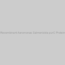 Image of Recombinant Aeromonas Salmonicida purC Protein